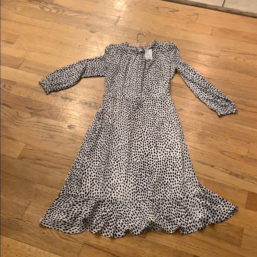 J crew midi dress